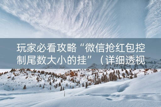 玩家必看攻略“微信抢红包控制尾数大小的挂”（详细透视教程）-哔哩哔哩