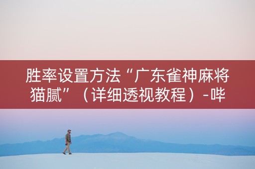 胜率设置方法“广东雀神麻将猫腻”（详细透视教程）-哔哩哔哩