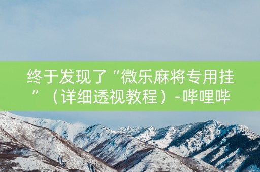 终于发现了“微乐麻将专用挂”（详细透视教程）-哔哩哔哩
