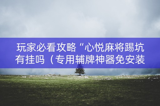 玩家必看攻略“心悦麻将踢坑有挂吗（专用辅牌神器免安装）