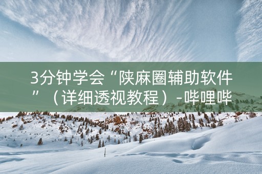 3分钟学会“陕麻圈辅助软件”（详细透视教程）-哔哩哔哩