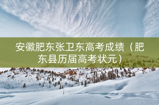 安徽肥东张卫东高考成绩（肥东县历届高考状元）