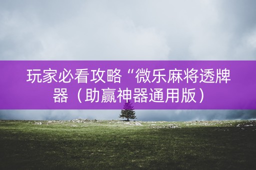 玩家必看攻略“微乐麻将透牌器（助赢神器通用版）