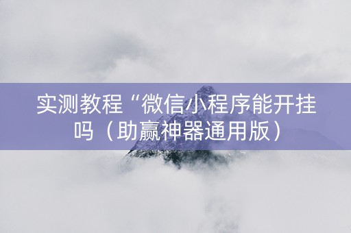 实测教程“微信小程序能开挂吗（助赢神器通用版）
