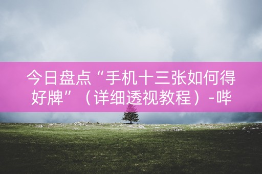 今日盘点“手机十三张如何得好牌”（详细透视教程）-哔哩哔哩