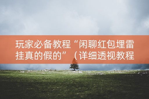 玩家必备教程“闲聊红包埋雷挂真的假的”（详细透视教程）-哔哩哔哩