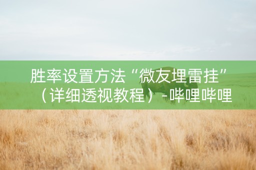 胜率设置方法“微友埋雷挂”（详细透视教程）-哔哩哔哩
