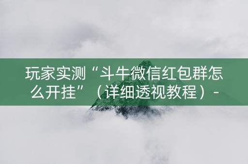 玩家实测“斗牛微信红包群怎么开挂”（详细透视教程）-哔哩哔哩