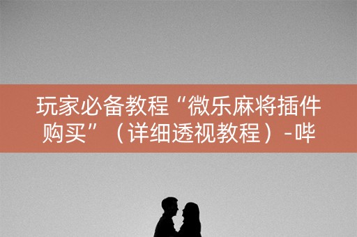 玩家必备教程“微乐麻将插件购买”（详细透视教程）-哔哩哔哩