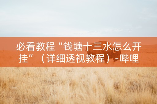 必看教程“钱塘十三水怎么开挂”（详细透视教程）-哔哩哔哩