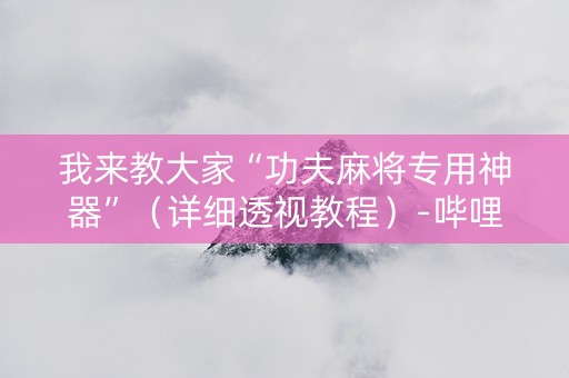 我来教大家“功夫麻将专用神器”（详细透视教程）-哔哩哔哩