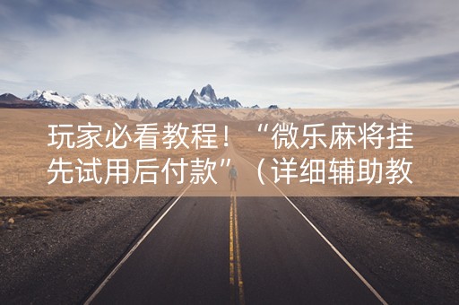 玩家必看教程！“微乐麻将挂先试用后付款”（详细辅助教程）-哔哩哔哩