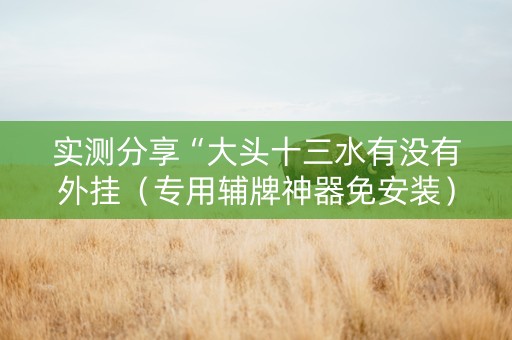 实测分享“大头十三水有没有外挂（专用辅牌神器免安装）