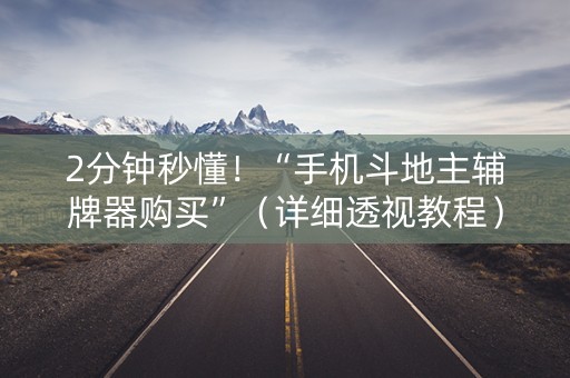 2分钟秒懂！“手机斗地主辅牌器购买”（详细透视教程）-哔哩哔哩