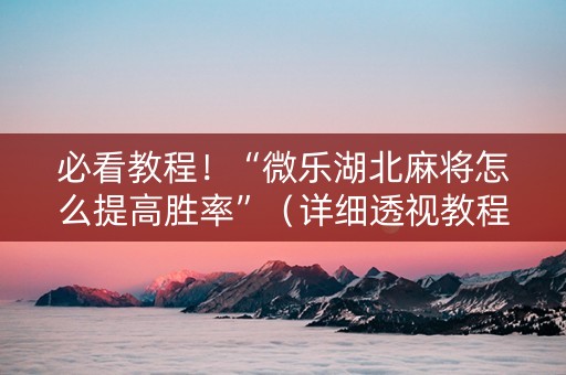 必看教程！“微乐湖北麻将怎么提高胜率”（详细透视教程）-哔哩哔哩