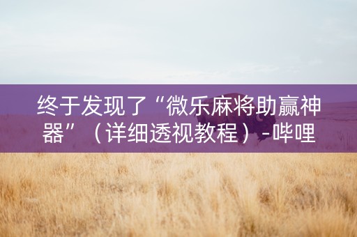 终于发现了“微乐麻将助赢神器”（详细透视教程）-哔哩哔哩