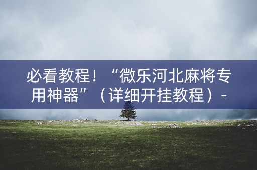 必看教程！“微乐河北麻将专用神器”（详细开挂教程）-哔哩哔哩