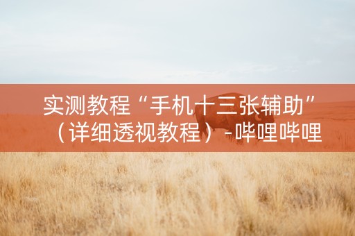 实测教程“手机十三张辅助”（详细透视教程）-哔哩哔哩