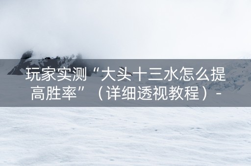 玩家实测“大头十三水怎么提高胜率”（详细透视教程）-哔哩哔哩