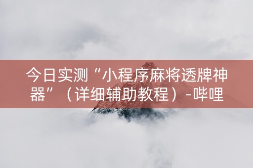 今日实测“小程序麻将透牌神器”（详细辅助教程）-哔哩哔哩