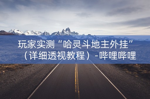 玩家实测“哈灵斗地主外挂”（详细透视教程）-哔哩哔哩