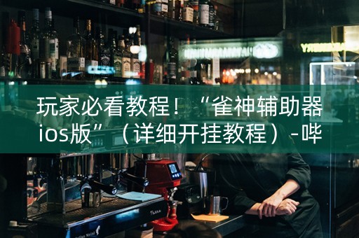 玩家必看教程！“雀神辅助器ios版”（详细开挂教程）-哔哩哔哩