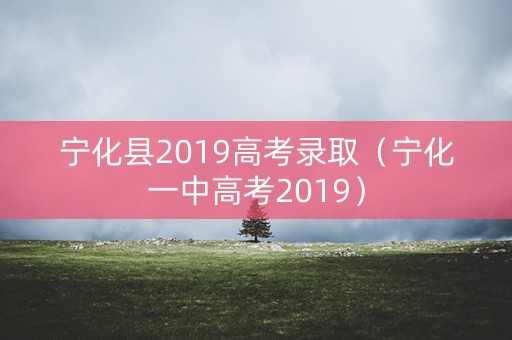 宁化县2019高考录取（宁化一中高考2019）