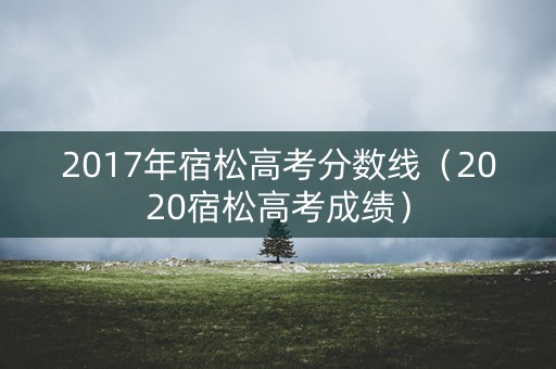 2017年宿松高考分数线（2020宿松高考成绩）
