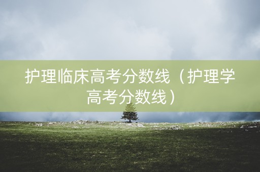 护理临床高考分数线（护理学高考分数线）