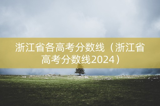 浙江省各高考分数线（浙江省高考分数线2024）