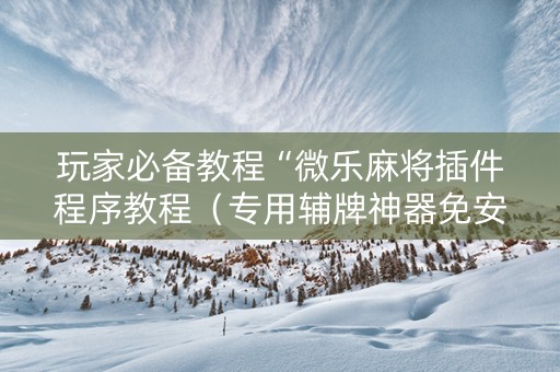 玩家必备教程“微乐麻将插件程序教程（专用辅牌神器免安装）