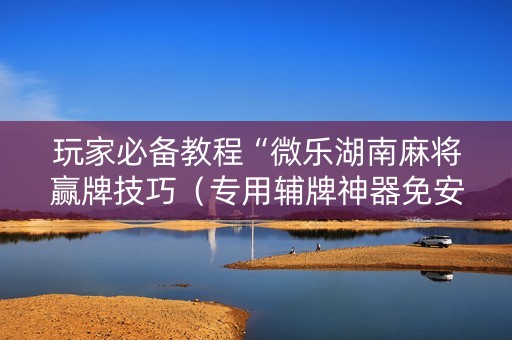 玩家必备教程“微乐湖南麻将赢牌技巧（专用辅牌神器免安装）
