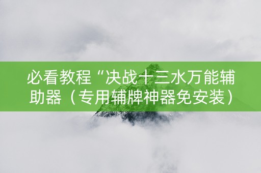 必看教程“决战十三水万能辅助器（专用辅牌神器免安装）