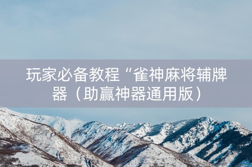 玩家必备教程“雀神麻将辅牌器（助赢神器通用版）