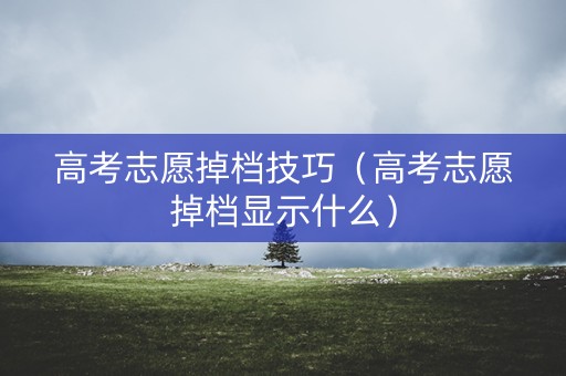 高考志愿掉档技巧（高考志愿掉档显示什么）