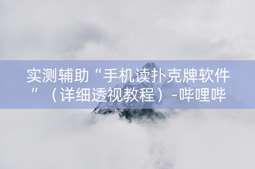 实测辅助“手机读扑克牌软件”（详细透视教程）-哔哩哔哩