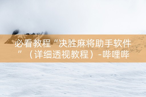 必看教程“决胜麻将助手软件”（详细透视教程）-哔哩哔哩