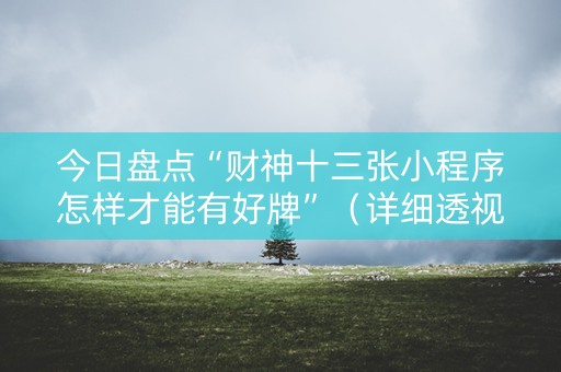 今日盘点“财神十三张小程序怎样才能有好牌”（详细透视教程）-哔哩哔哩