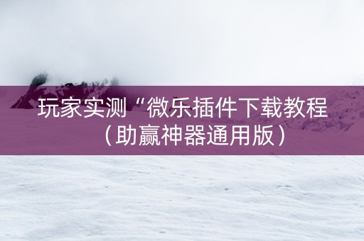 玩家实测“微乐插件下载教程（助赢神器通用版）