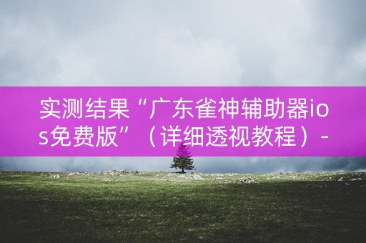 实测结果“广东雀神辅助器ios免费版”（详细透视教程）-哔哩哔哩
