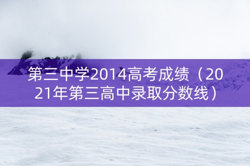 第三中学2014高考成绩（2021年第三高中录取分数线）