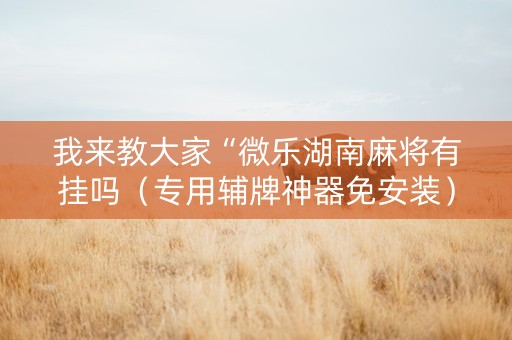 我来教大家“微乐湖南麻将有挂吗（专用辅牌神器免安装）