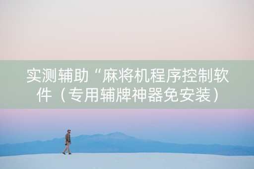 实测辅助“麻将机程序控制软件（专用辅牌神器免安装）