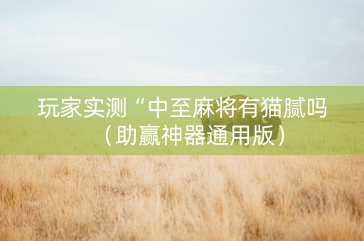玩家实测“中至麻将有猫腻吗（助赢神器通用版）