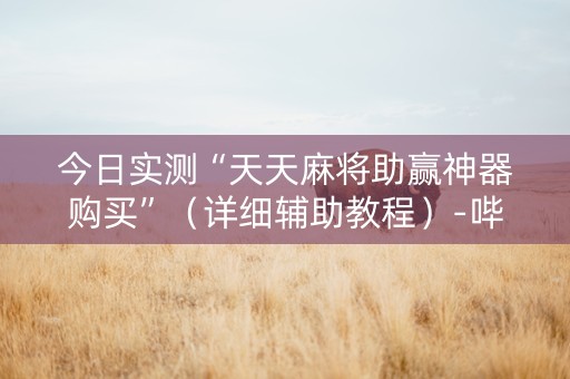 今日实测“天天麻将助赢神器购买”（详细辅助教程）-哔哩哔哩