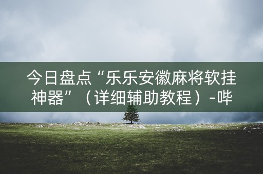 今日盘点“乐乐安徽麻将软挂神器”（详细辅助教程）-哔哩哔哩