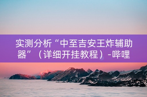 实测分析“中至吉安王炸辅助器”（详细开挂教程）-哔哩哔哩