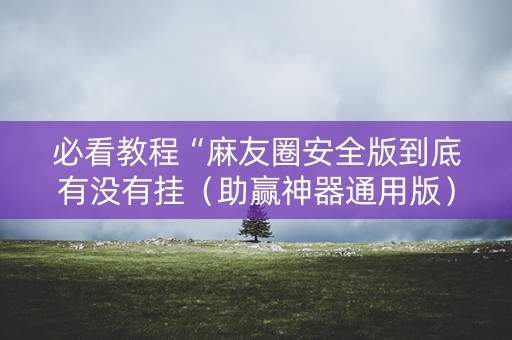 必看教程“麻友圈安全版到底有没有挂（助赢神器通用版）