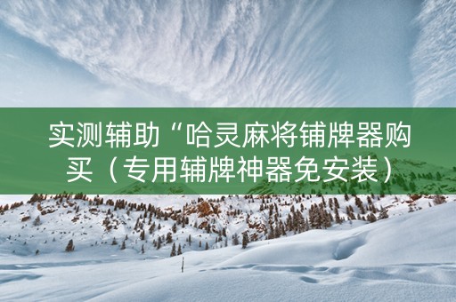 实测辅助“哈灵麻将铺牌器购买（专用辅牌神器免安装）