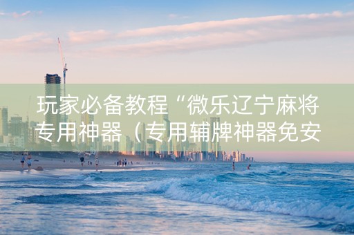 玩家必备教程“微乐辽宁麻将专用神器（专用辅牌神器免安装）